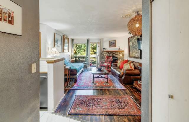 FRISCO! Offered Furnished or Unfurnished! 1 pet negotiable!  An Artist's retreat! Must see.