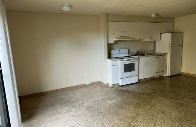 3111 E 37th AveApt #101 - 3111 East 37th Avenue, Spokane, WA 99223