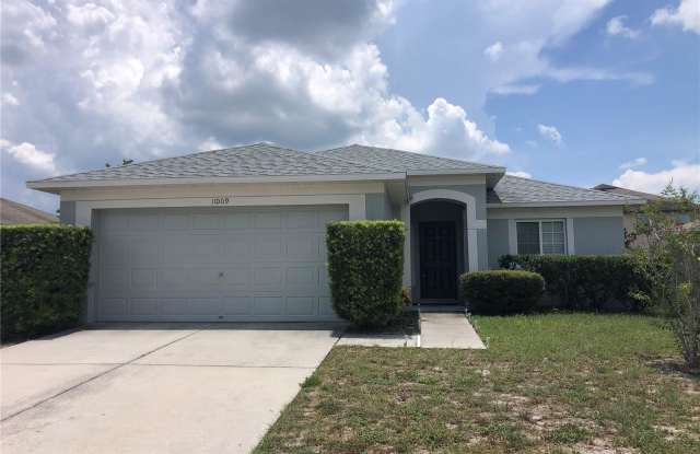 11009 WHITECAP DRIVE - 11009 Whitecap Drive, Riverview, FL 33579