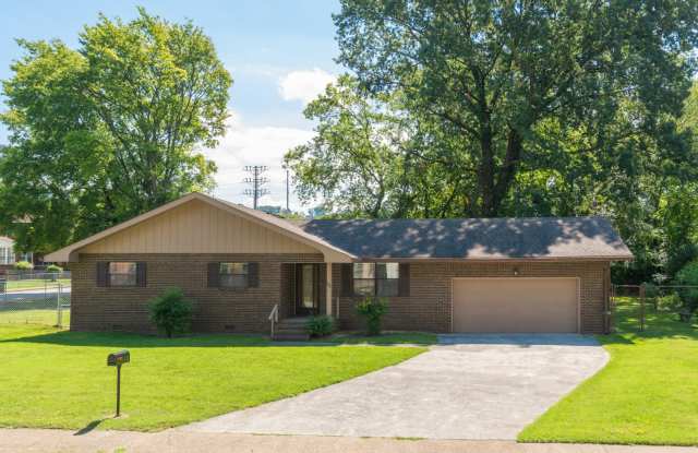 458 N Willow St - 458 North Willow Street, Chattanooga, TN 37404