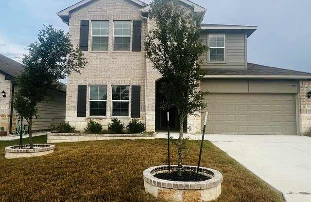 Photo of 848 Cinnamon Teal