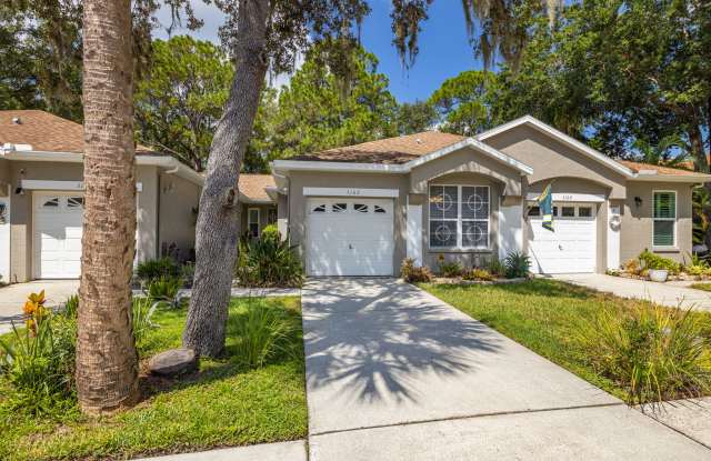 3162 Brooker Creek Way