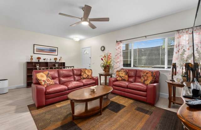 Sunsets, Shopping and Sights!