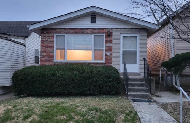 4546 Ray Ave - 4546 Ray Avenue, St. Louis, MO 63116