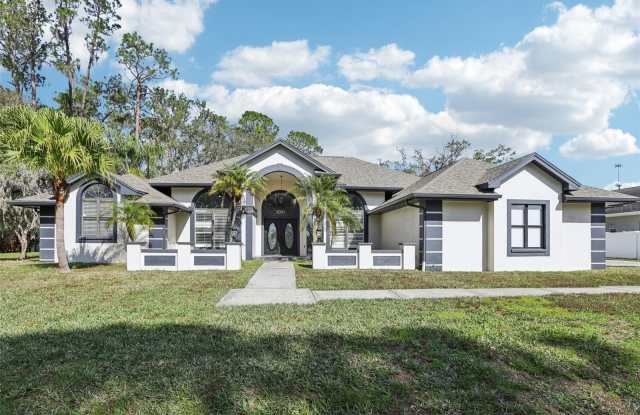 Photo of 1010 EMERALD CREEK DRIVE