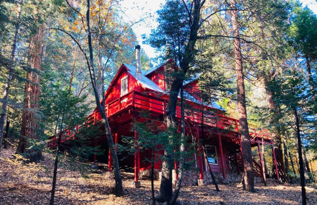 Terrific Cabin in the Trees photos photos