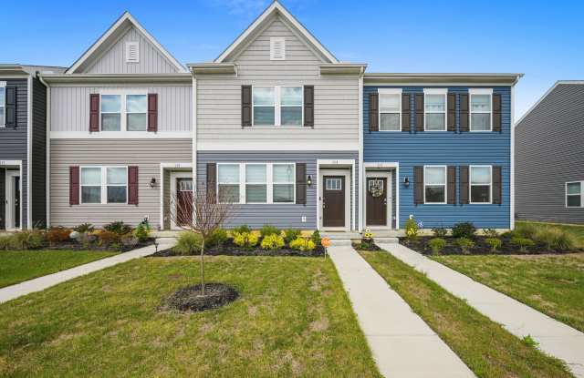 113 Ridgely Blvd