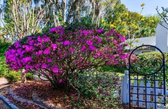 1242 N ALEXANDER STREET