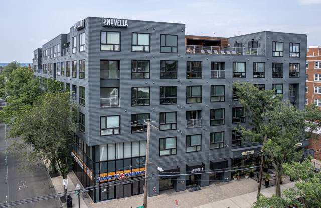 Photo of The Novella