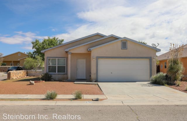 3785 Galina Place - 3785 Galina Place, Las Cruces, NM 88012