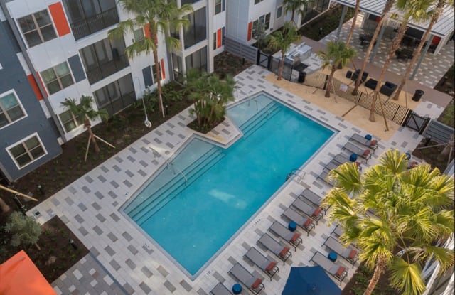 Photo of Nexus Brandon