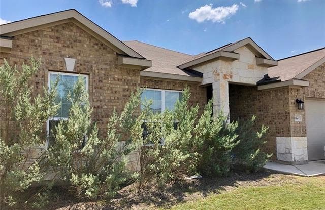 1277 Violet LN - 1277 Violet Lane, Kyle, TX 78640