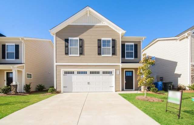 519 Belgian Blue Way - 519 Belgian Blue Way, Columbia, SC 29209