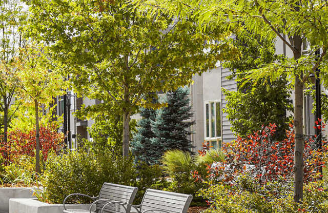 The Aster Conservatory Green