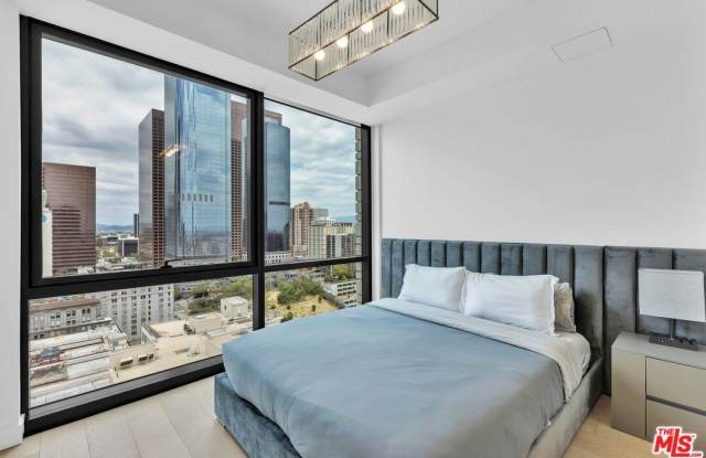 400 S Broadway unit: 2410