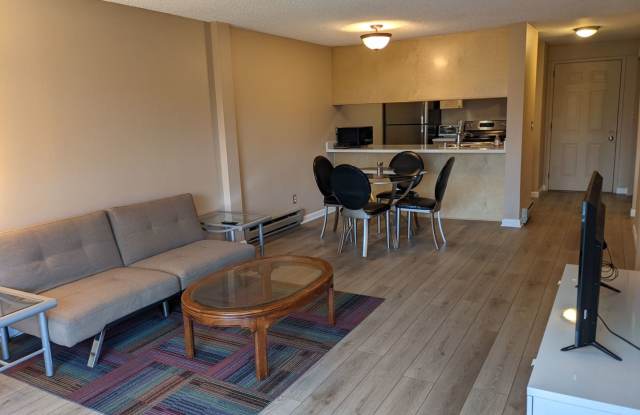 PLUG  PLAY - FULLY FURNISHED BEAUTIFUL  QUIET Condo in NORTHGATE – Secured garage parking and new Northgate light Rail Station is only a 5 minute walk away!!!! photos photos