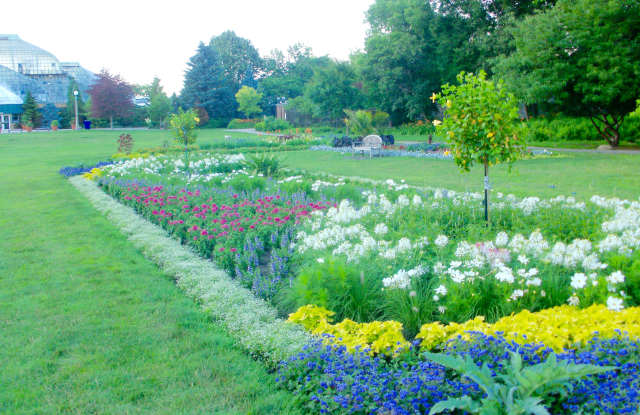 Fox Luxury Apartments