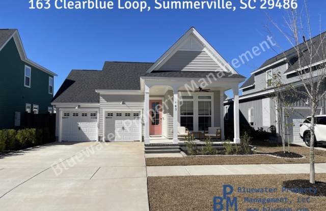 163 Clearblue Loop - 163 Clearblue Loop, Berkeley County, SC 29486