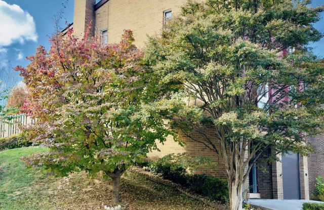 3036 MISSION SQUARE DRIVE