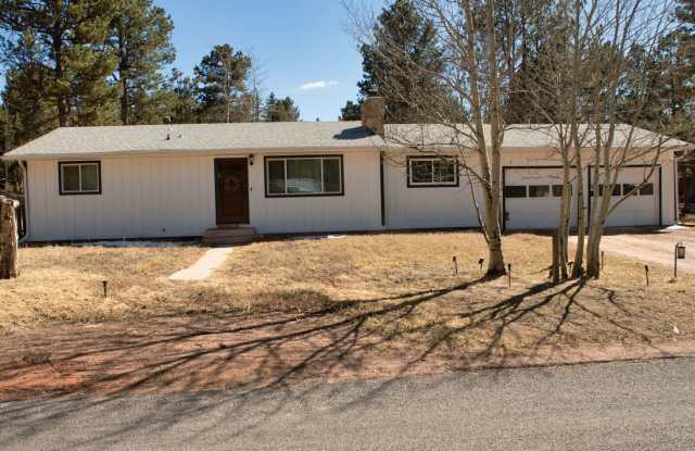 Rare Opportunity. - 407 Woodland Drive, Woodland Park, CO 80863