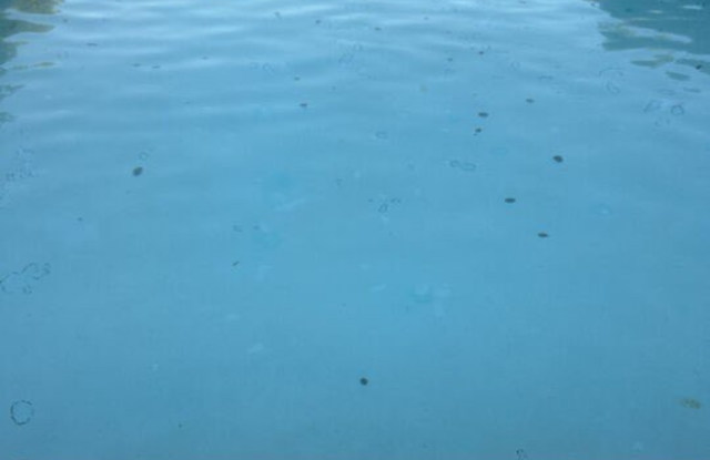 Photo of 2411 W Acacia Ave