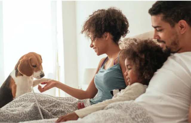 Photo of Princeton Court