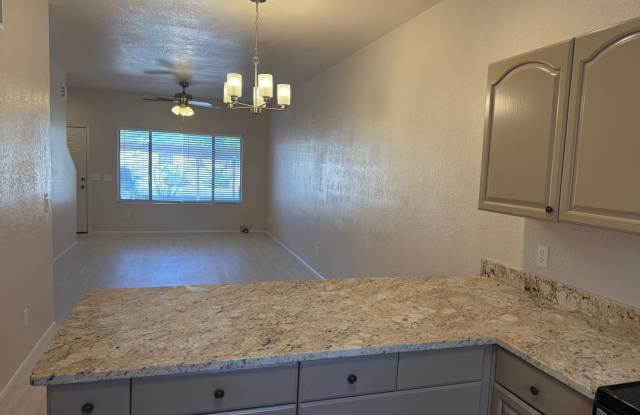 3535 E Glenn Street unit: 1103