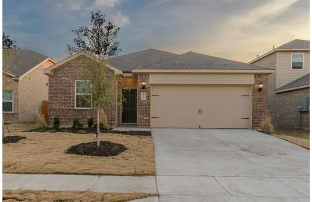 1209 Arizona Drive - 1209 Arizona Drive, Princeton, TX 75407