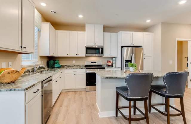 Brand new construction 3 bed/3bath home in lakeville! Beautiful updates through-out! Dont miss it!