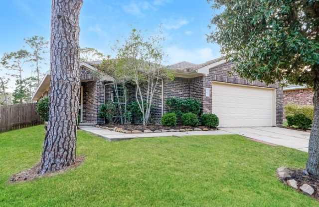 13421 Raintree Dr - 13421 Raintree Drive, Montgomery County, TX 77356