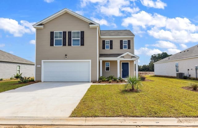 153 Spring Wheat Way - 153 Spring Wheat Way, Horry County, SC 29527