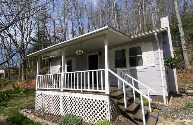 164 Hayes Cove Road - 164 Hayes Cove Road, Buncombe County, NC 28748