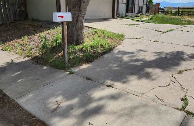 4 bedroom, 2 bath home with 2 car garage, with mountain views