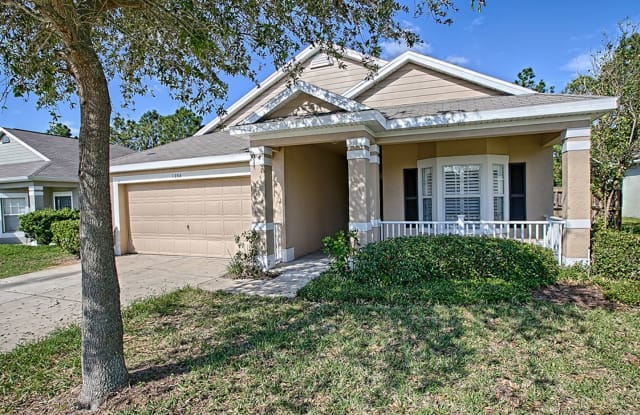 1234 Longville Circle - 1234 Longville Circle, Tavares, FL 32778