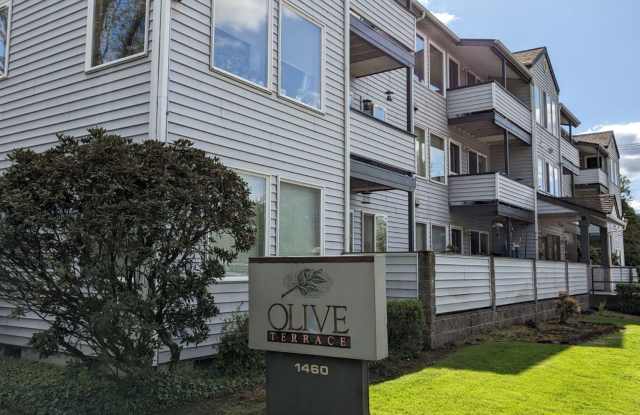 OliveT