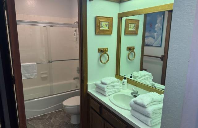 Charming 1-Bedroom Condo in the Heart of Mammoth – 31 Sunshine #31