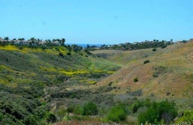 1006 Calle De Los Arboles, San Clemente, CA 92673