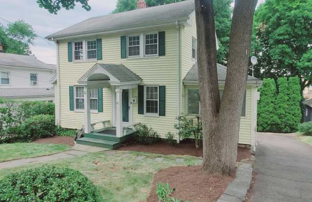 61 Palmer Street
