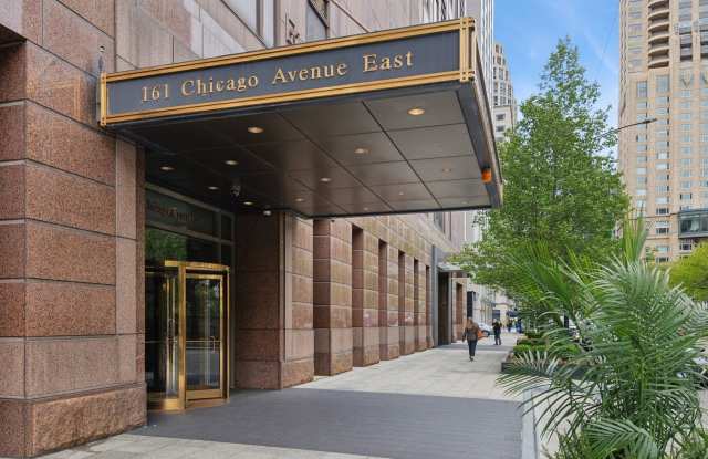 161 E Chicago Avenue