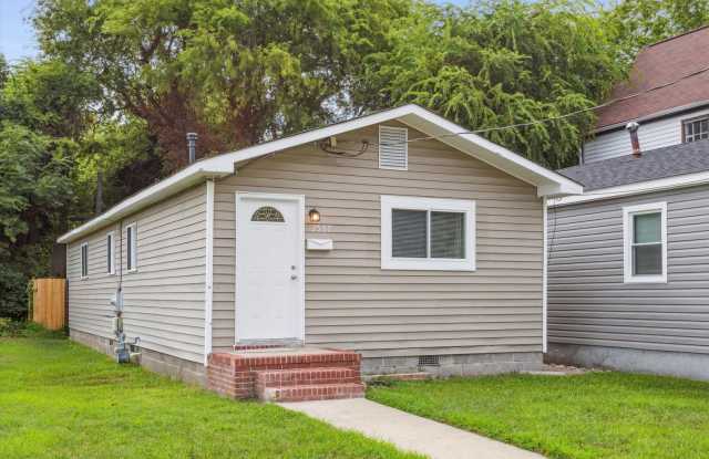 Photo of Downtown Newport News