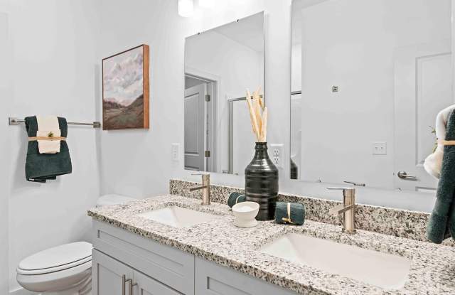 Venture at Long Shoals