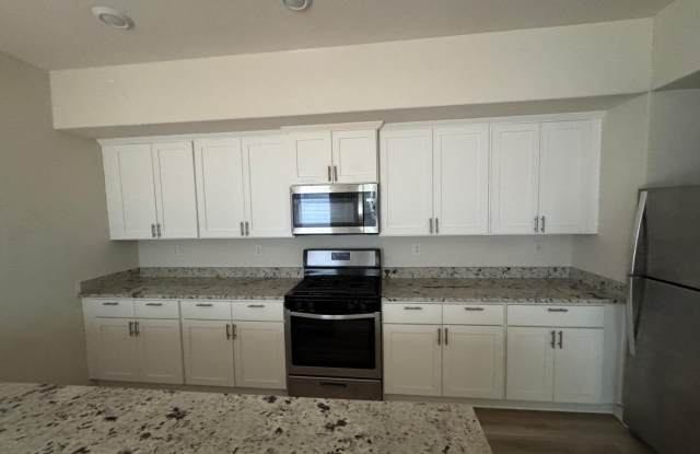 Stunning and Spacious 3-bed, 2.5-bath new home in Princeton, TX with fenced yard, elegant finishes, and chef’s kitchen.