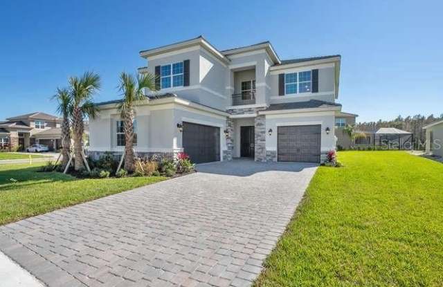 32244 LOGAN ELM TERRACE - 32244 Logan Elm Terrace, Wesley Chapel, FL 33543