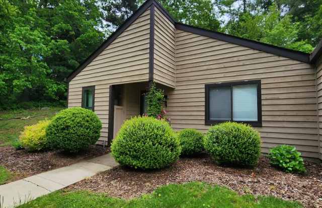 Black Mountain Rental!