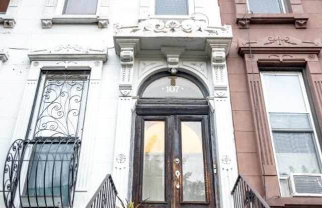 107 Halsey Street - 107 Halsey Street, Brooklyn, NY 11216