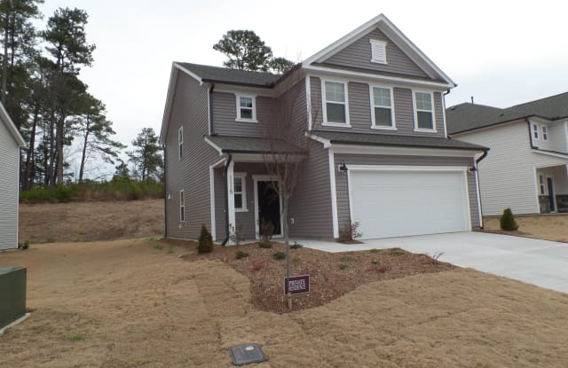 1115 Flyfish Avenue - 1115 Flyfish Ave, Durham, NC 27703