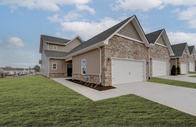 1024 Beech Tree Cove - 9 - 1024 Beech Tree Cove, Blount County, TN 37801