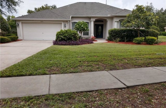 12251 CREEK EDGE DRIVE - 12251 Creek Edge Drive, Riverview, FL 33579