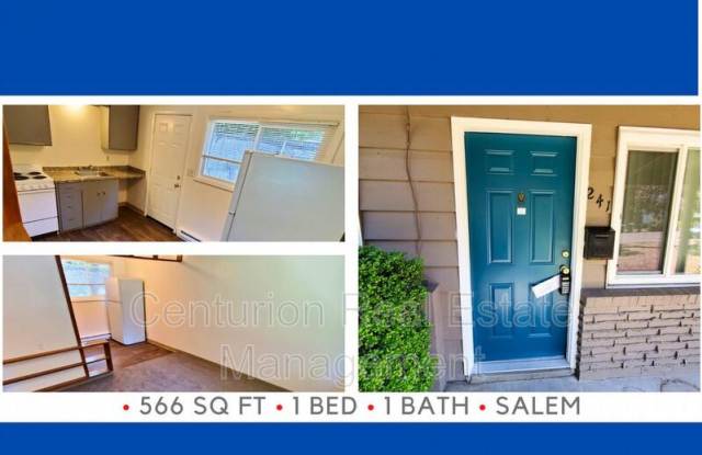 241 Kearney St S