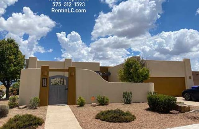 4236 Capistrano Ct - 4236 Capistrano Ave, Las Cruces, NM 88011